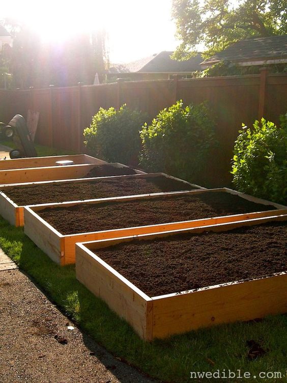 raised garden beds