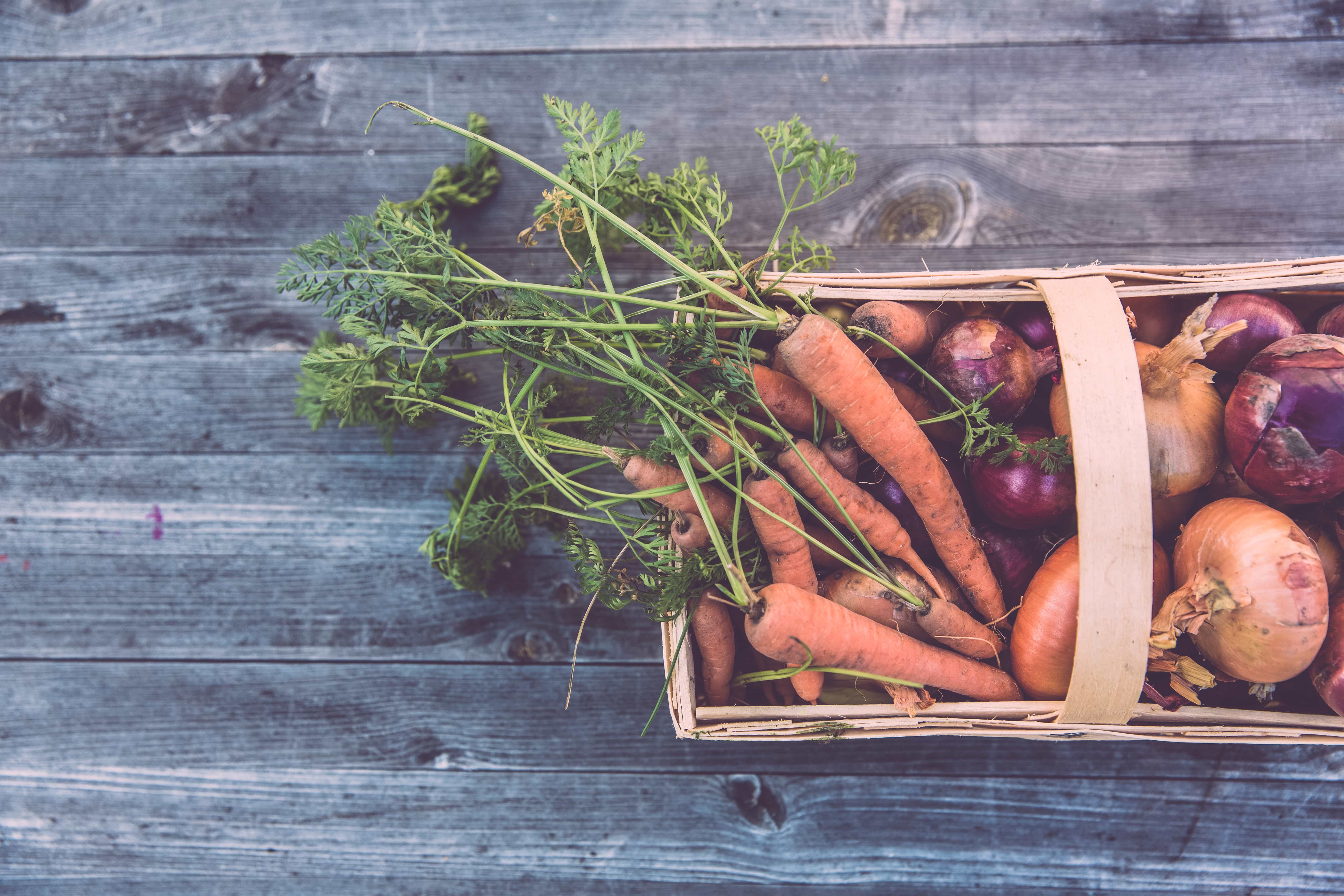 harvested vegetables