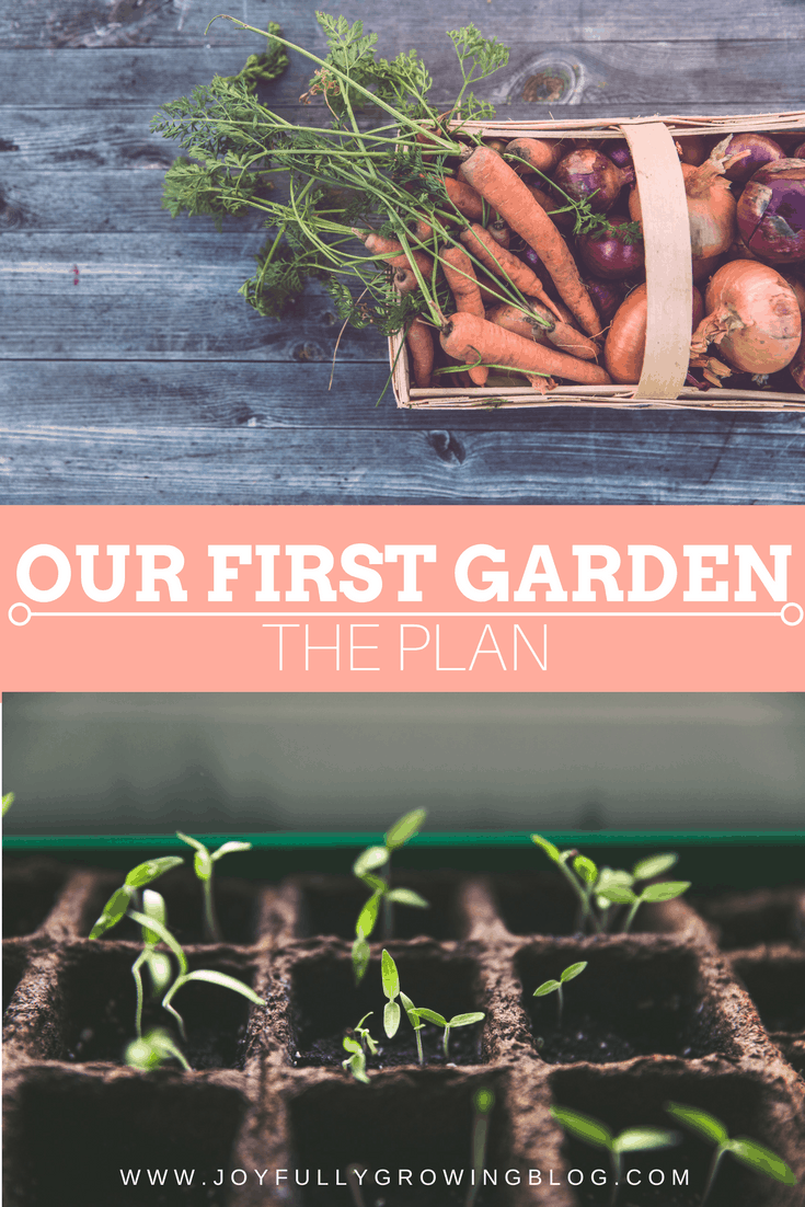 Learn how we plan to start our first garden and what steps we will take