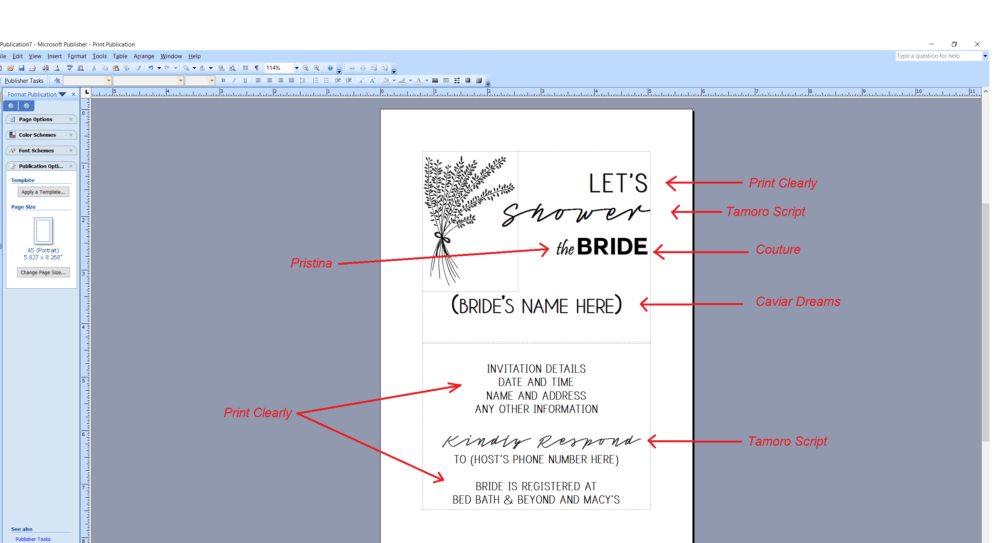 Microsoft Publisher screenshot showing which fonts were used 