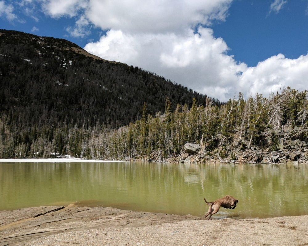 Hike to High Mountain Lakes in Central Montana - Bell Lake, MT USA