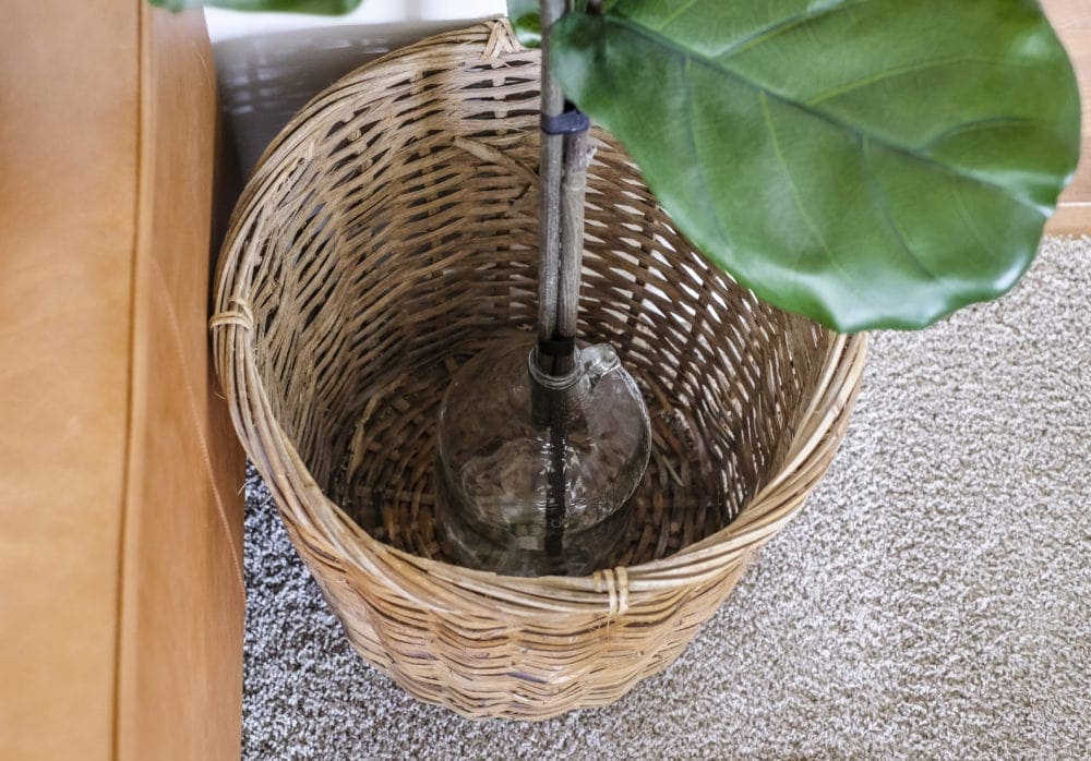 DIY faux fiddle leaf fig tree sitting in a woven basket