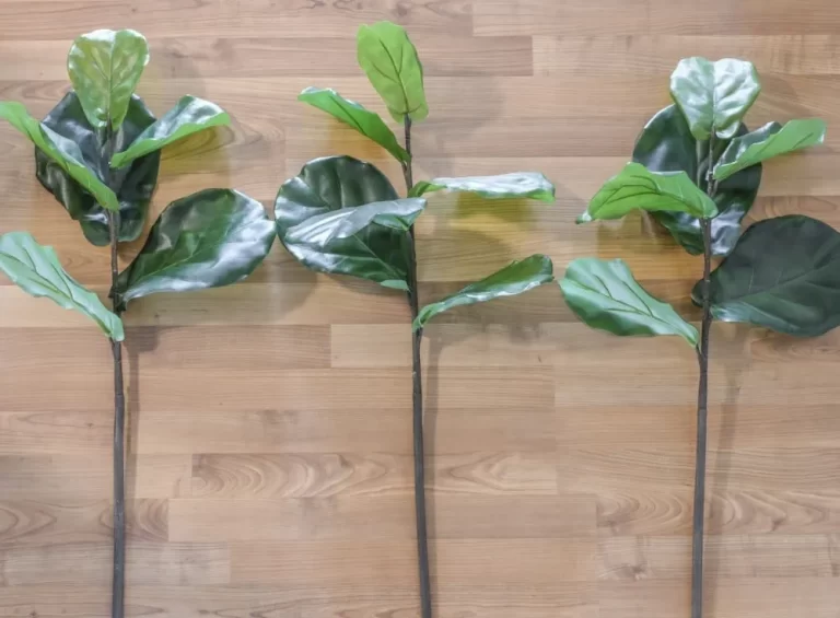 easy diy Fiddle Leaf Fig Tree Hack is My Best $15 Secret