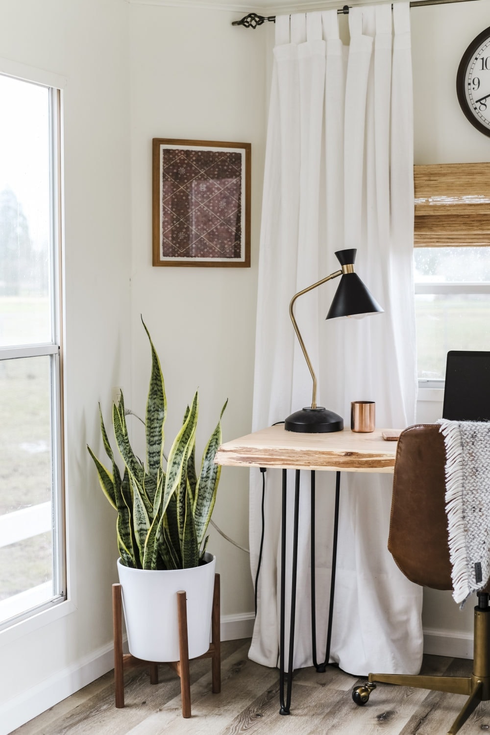 Snake plant in the corner next to a wood desk