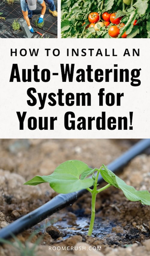 How to install DIY drip watering system for your garden (easy irrigation)