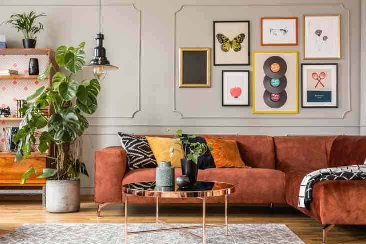 Using plants while styling your living room