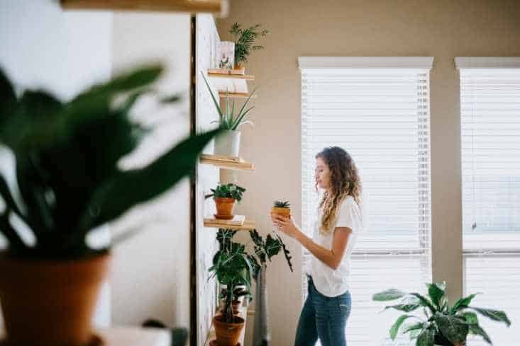 Using your wall for your plants styling goals.