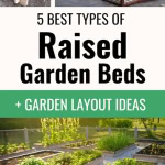 5 Best Raised Garden Beds for Small Garden Layout