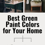 Green Boards Inspo: Green Painted Walls Paint Color Guide