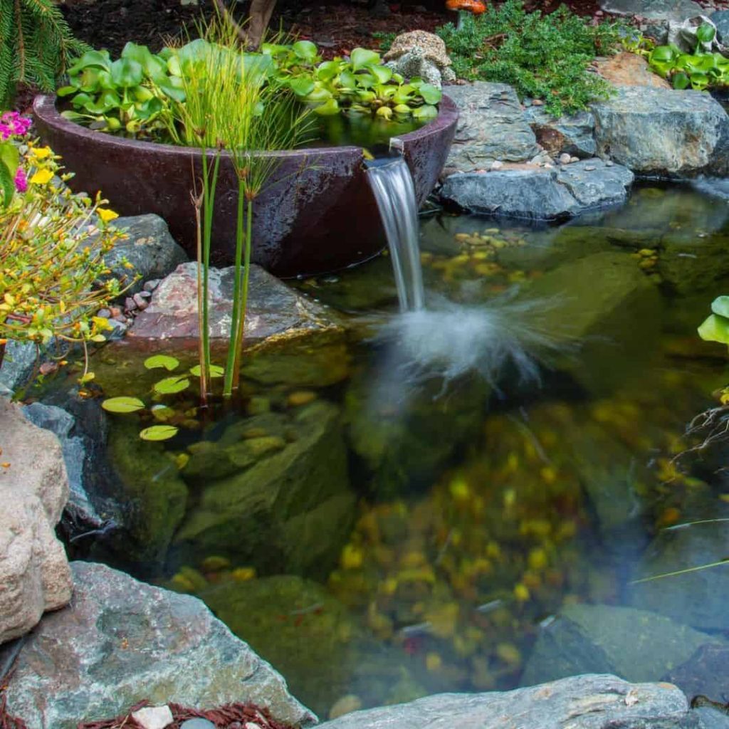 Pond Ideas To Brighten Up & Add Interest To Your Yard