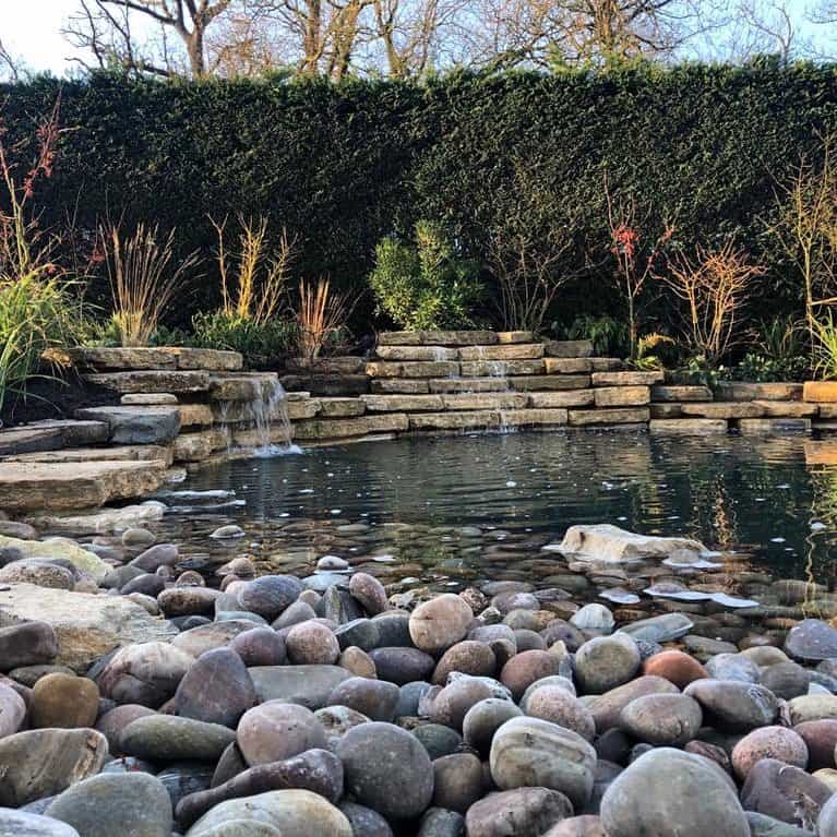 Pond Ideas To Brighten Up & Add Interest To Your Yard