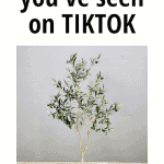 here's where to get that beautiful faux olive tree tiktok