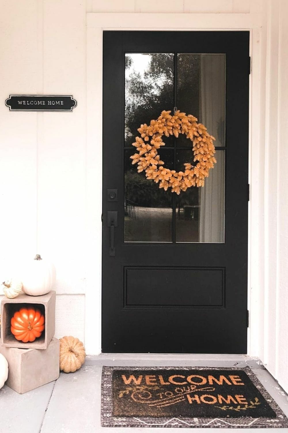 front door painted with Tricorn Black by Sherwin-Williams