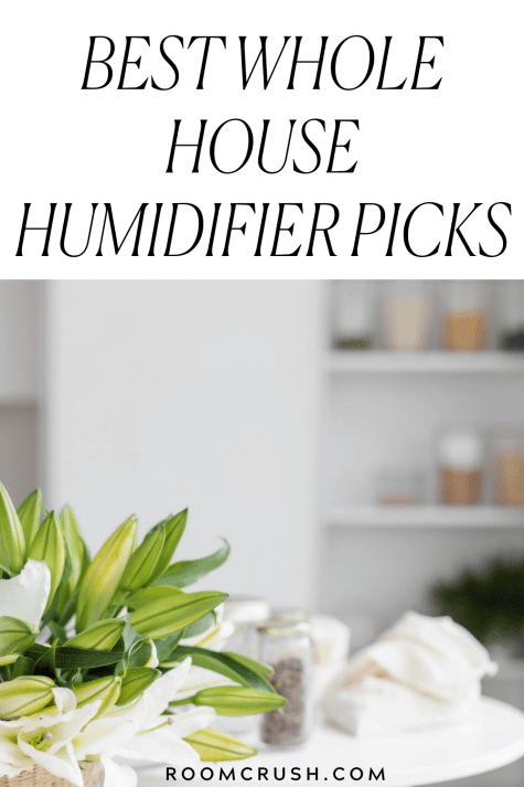 the best whole house humidifiers help house plants grow