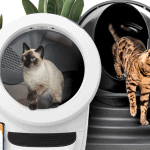 litter robot review cats using litter robot without making a mess