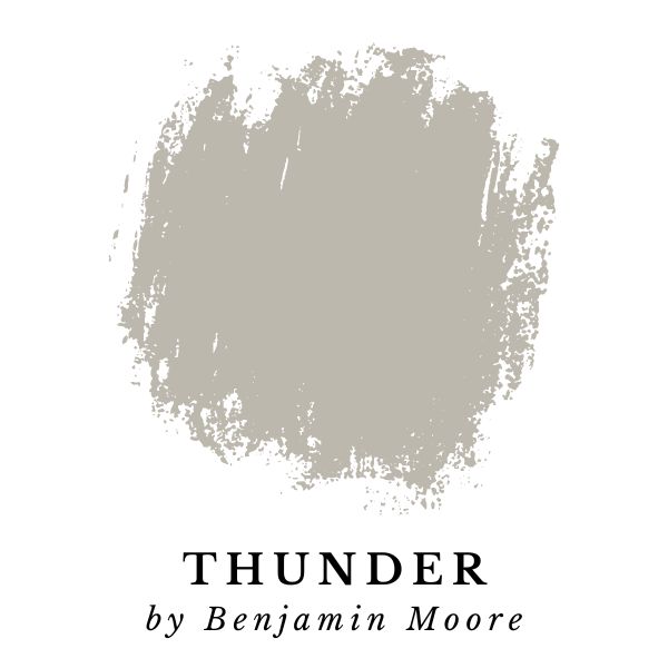 Thunder by Benjamin Moore paint color splotch