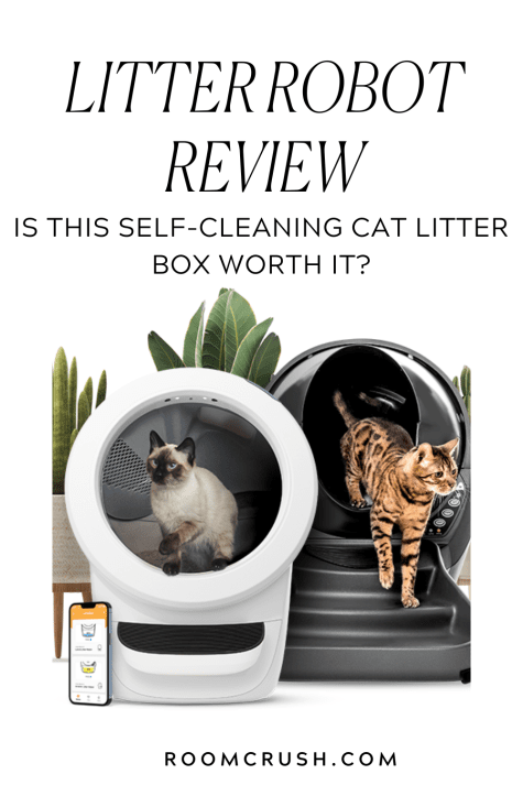 litter robot review two cats stepping out of the self-cleaning litter box