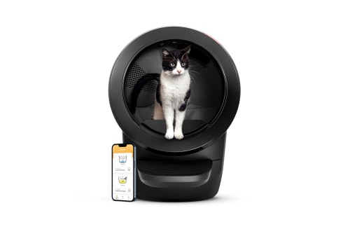 litter robot review cat and phone showing the wi-fi capabilities of the litter robot