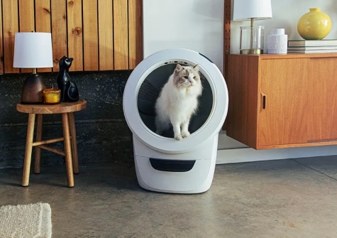 Litter robot review cat stepping out of Litter Robot comfortably
