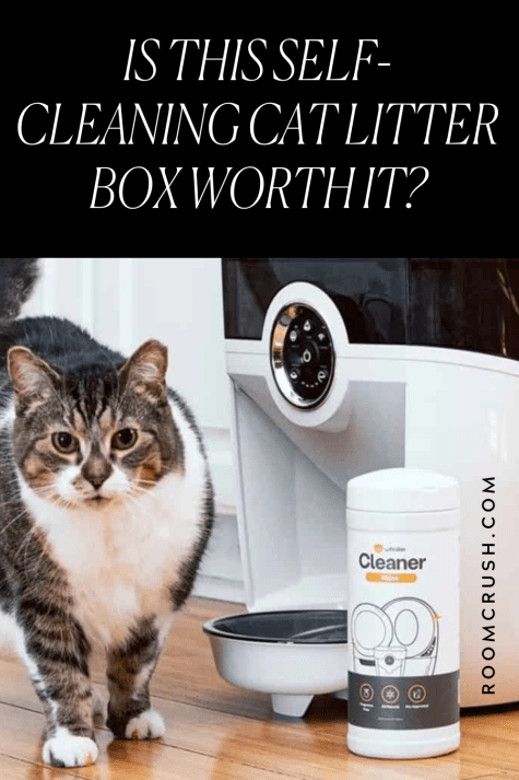 litter robot review cat standing next to litter box and litter cleaner
