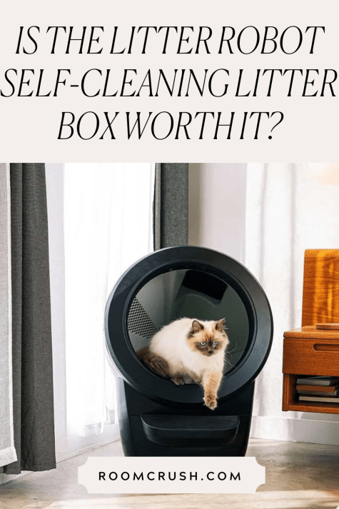 litter robot review cat using litter box without making a mess