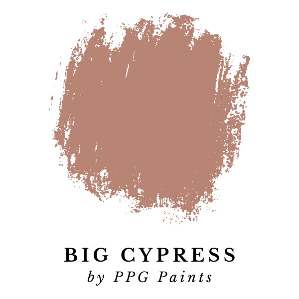 Big Cypress by PPG Paint color splotch