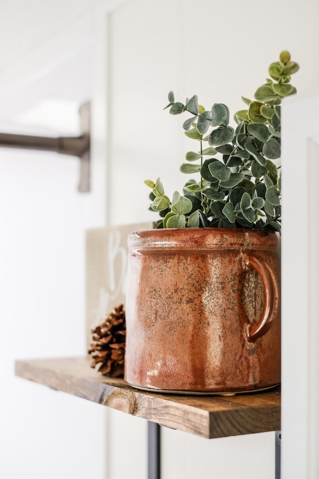 RV shelf with plant and pinecone