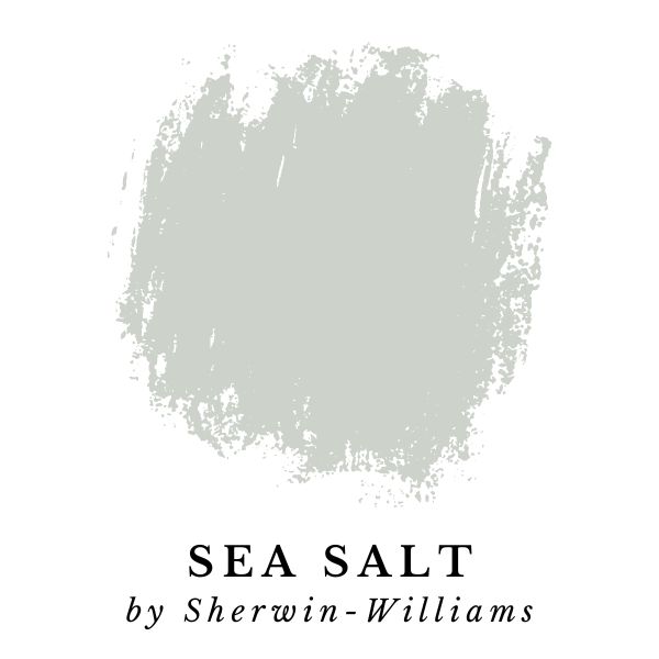 Sea Salt by Sherwin-Williams paint color splotch