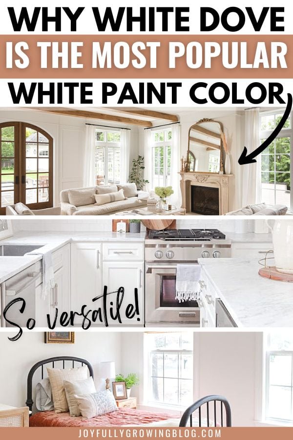 why white dove is the most popular white paint color