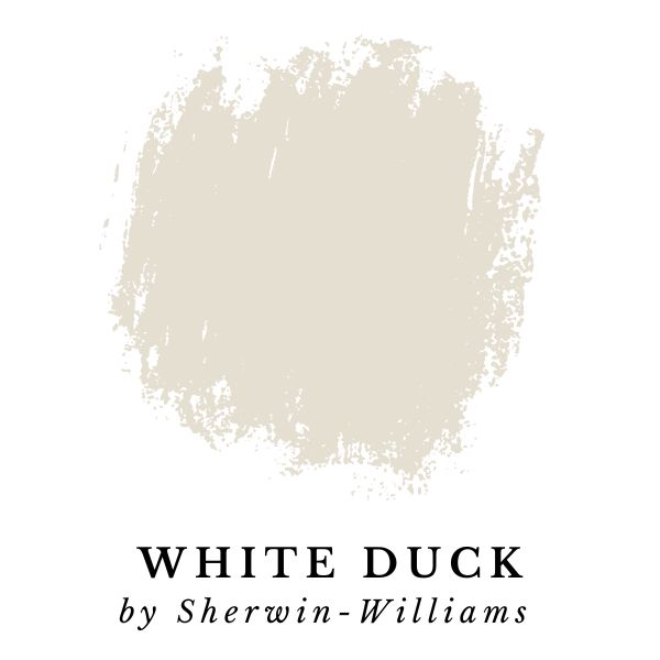 White Duck by Sherwin-Williams paint color splotch