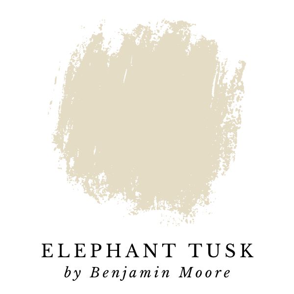 Elephant Tusk by Benjamin Moore paint color splotch