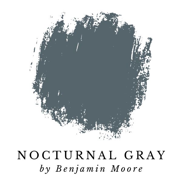 Nocturnal Gray by Benjamin Moore paint color splotch