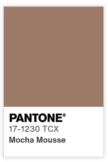 sample of mocha mousse pantone color of the year 2025